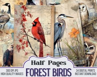 Forest Birds on Ephemera Junk Journal Half Papers, Journal Scrapbook Supply - 22 Vintage Junk Journal Pages - Ephemera, Stamperia, Pages