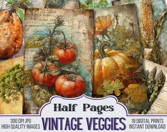 May include: A digital collage of vintage illustrations of vegetables, including tomatoes, pumpkins, corn, and asparagus. The images are set against a background of old paper and have a rustic, vintage feel.