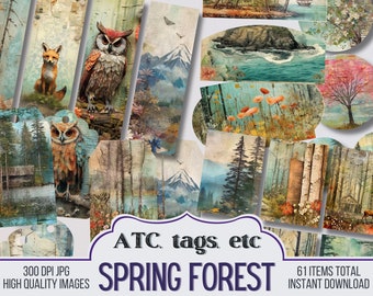 Mixed Media Spring Forest Junk Journal Ephemera, ATC cards, Tags, Pocket, Circles, Journal Scrapbook Supply - 61 Ephemera - Vintage Pages