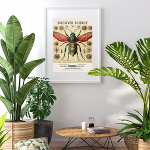 Science Museum poster, vintage exhibition museum print, scientific insect print, vintage London museum poster, science wall art image 6