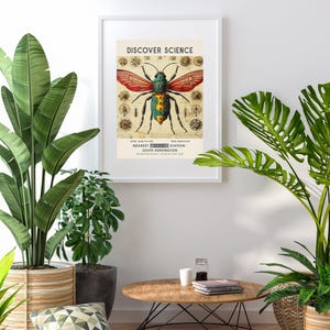 Science Museum poster, vintage exhibition museum print, scientific insect print, vintage London museum poster, science wall art image 5