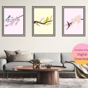 Chirps and Charms: Colorful Bird Prints for Wall Art