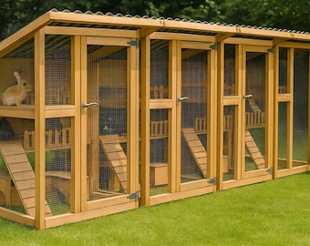 Plano para construir un gallinero a medida: Proyecto de carpintería personalizado para hacer tú mismo (Descarga digital)