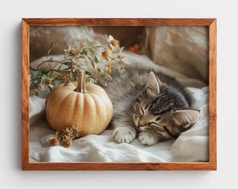 Fotografía de gatito otoñal con calabaza: retrato acogedor de gato, arte mural otoñal imprimible, decoración rústica con flores secas, descarga digital instantánea 2