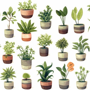 Könnte beinhalten: Eine Sammlung von 28 Topfpflanzen in verschiedenen Formen, Größen und Farben. Die Pflanzen sind in einem Raster auf weißem Hintergrund angeordnet. Zu den Pflanzen gehören Farne, Sukkulenten und andere Blattpflanzen.