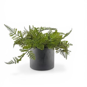 Maceta de hormigón de 18 cm con acabado negro agrietado / Maceta de cemento moderna de tamaño mediano