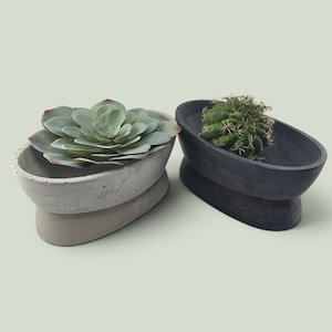 May include: Two oval-shaped concrete planters with a pedestal base. The left planter is light gray and holds a green succulent. The right planter is dark charcoal gray and contains a small, spiky green cactus with visible thorns.