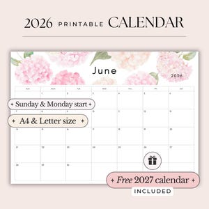 Wall Calendar 2026 Calendar Printable Planner Daily Planner Full year Calendar Yearly Wall Calendar Sunday & Monday start in A4, Letter size