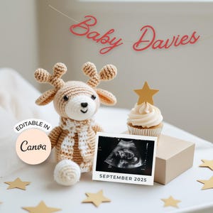 Pregnancy announcement digital gender neutral, Christmas Digital pregnancy announcement for social media, Neutral baby announcement digital