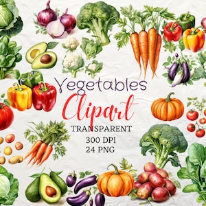 Clipart vegetal 24 alta calidad PNG Descarga digital Tarjeta de fondo transparente haciendo zanahoria tomate berenjena aguacate papa clipart