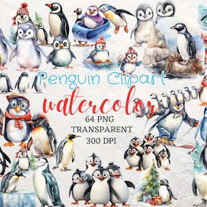 Acuarela Pingüino Clipart 64 Pingüino PNG Descarga Instantánea Familia Pingüino PNG Emperador Rey Pingüino Africano Creativo Pingüino Temático Clipart