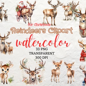 Puede incluir: Clipart de acuarela de 33 renos en varias poses, incluyendo un reno con una bufanda roja y un reno con gafas de sol. Los renos son todos marrones y blancos con cuernos. El texto "For Christmas Reindeer's Clipart Watercolor 33 PNG Transparent 300 DPI" está escrito en la imagen.