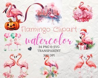 Watercolor Flamingo Clipart 34 PNG Flamingo Tropical Birds Clipart PNG Instant Download Commercial Use Creative Flamingo  Cute Animal Png