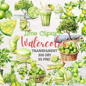 Aquarel Lime Clipart 55 PNG Key Lime Clipart Instant Download Lime Flowers PNG Lime Tree Basket Krans Juice Cake Pie Cocktail Lime Png