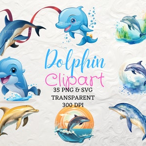 Dolphin Clipart 35 Cute Dolphin PNG Watercolor Dolphin VECTOR Creative Dolphin Clipart Commercial Use SVG Dolphin Family Party Invitation