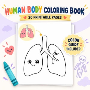 May include: A Human Body Coloring Book with 20 printable pages. The cover features a black and white line drawing of lungs with a smiling face, a small colored lung icon, a yellow color guide badge, a blue crayon, a heart, and a skeleton.
