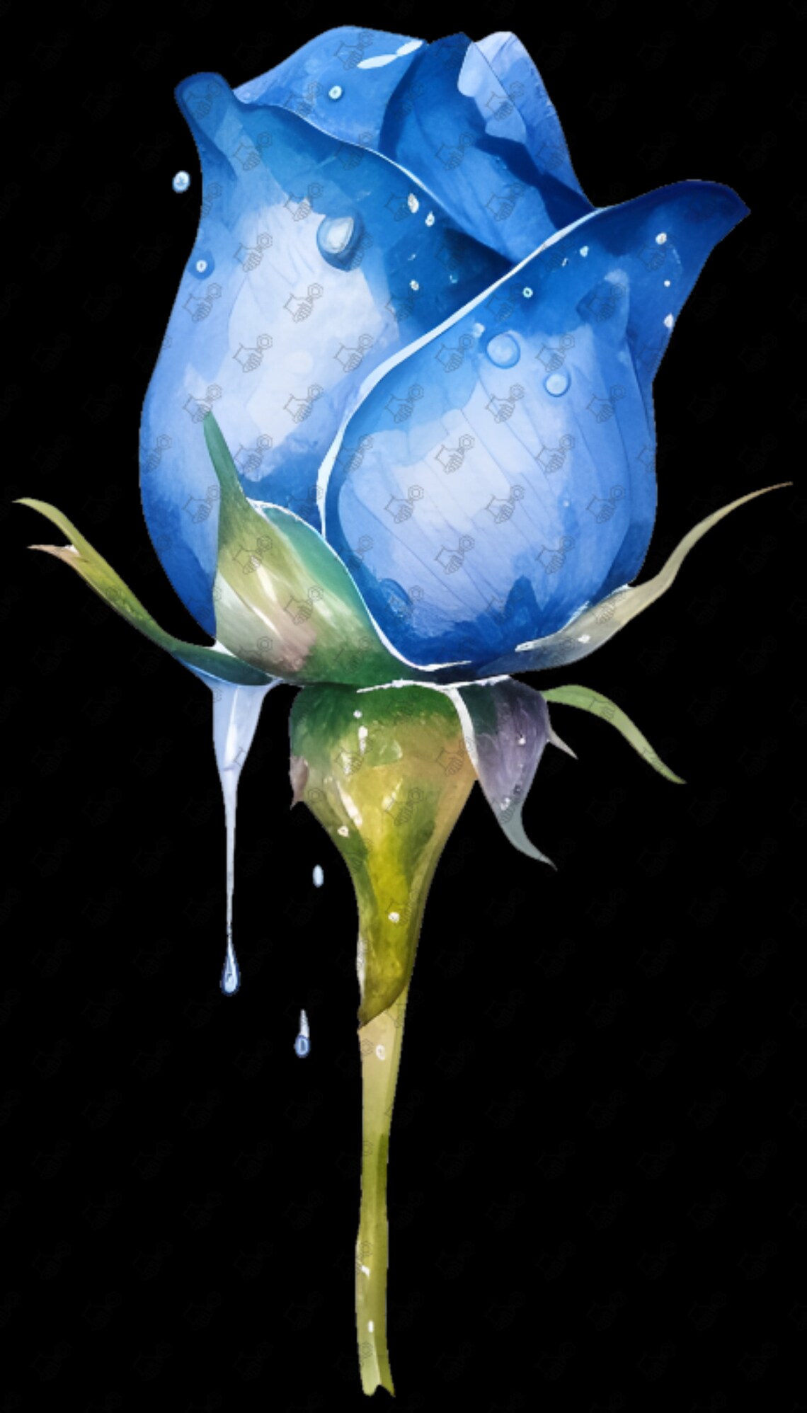 Watercolor Roses Blue Roses Clipart Watercolor Flowers Etsy