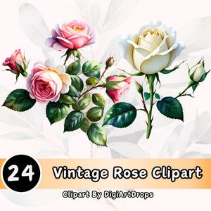 Ensemble de cliparts roses vintage fleurs antiques roses de jardin oeillets sépia eucalyptus séché souffle de bébé Art numérique déco artisanat faire-part