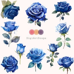 10 roses bleu roi Clipart, téléchargement numérique PNG aquarelle floral pour faire-parts, travaux manuels et décoration