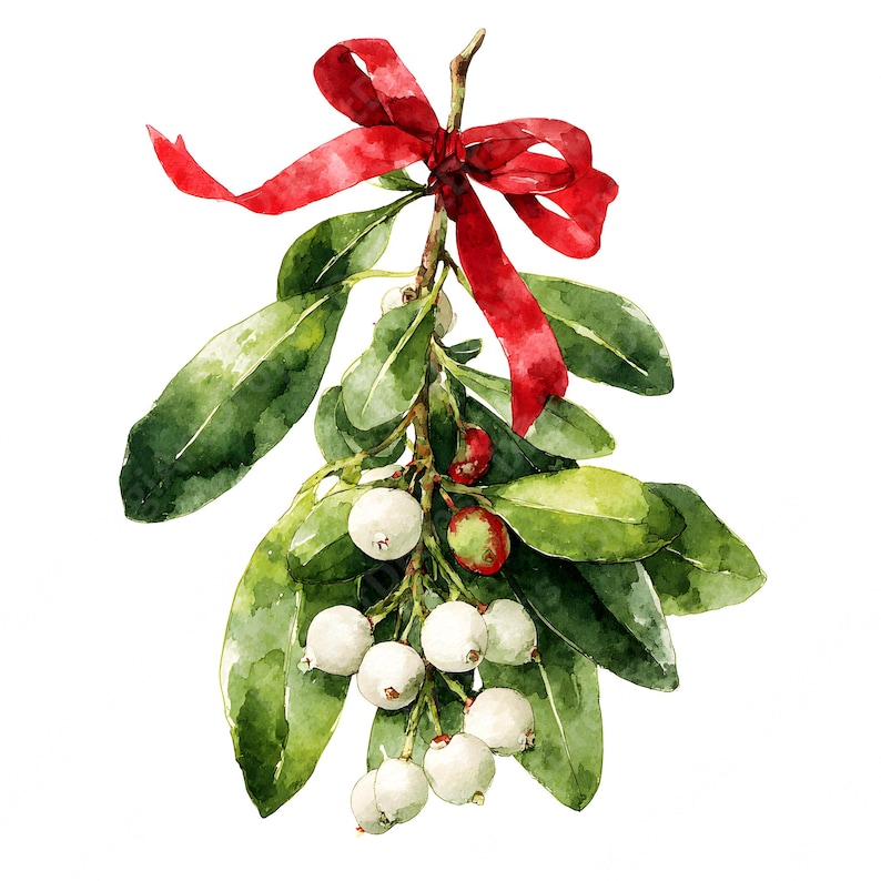 Watercolor Mistletoe Clipart - Christmas Greenery, Red Bow, White ...