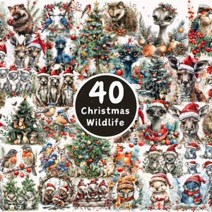 Australian Christmas Wildlife Clipart Bundle Koalas Kangaroos Birds Festive Holiday Animals Graphics  Illustrations PNG Mug Tumbler Tshirt