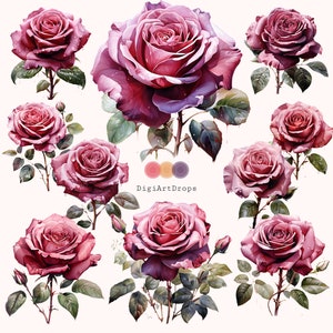 Watercolor Bordeaux Roses Clipart Bundle 10 PNG Digital Download High Quality Commercial Use Clipart for Invitations Crafts T-Shirts Decor