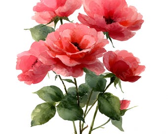 Clipart para Diário de Recortes | Buquê de Rosas Cor-de-Rosa em Aquarela | Folha para Colagem | Papel Digital para Scrapbook