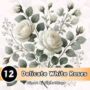 Rosas brancas aquarela flores silvestres clipart 12 PNGs elegância para convite de casamento decoração de primavera salve a data download digital cartão de casamento