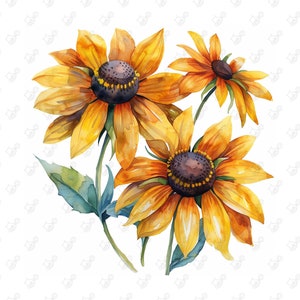 Vibrant Black-Eyed Susan Watercolor Clipart 10 JPG Digital Download Commercial Use Clipart for Invitation Crafts T-Shirts Decor Scrapbooking