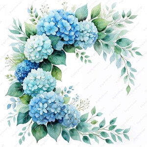 Pode incluir: Uma pintura em aquarela de um arranjo de flores de hortênsia azul com folhas verdes. As flores estão dispostas em forma de semicírculo, com as folhas se estendendo das flores.