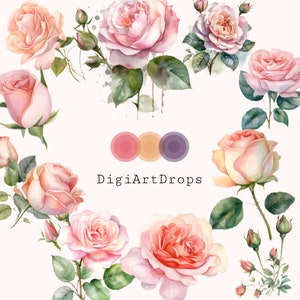 Aquarell rosa Rosen Clipart Bundle, kommerzielle Nutzung (png digitaler Download)