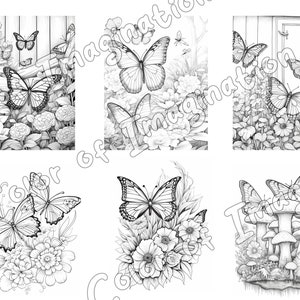 Butterfly Coloring Pages for Adults and Kids 30 Sheet Butterflies ...