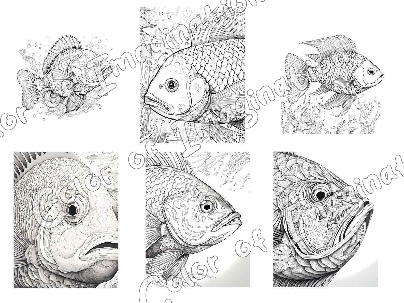 Fish Coloring Pages for Adults and Kids 34 Sheet Fish Coloring Book ...