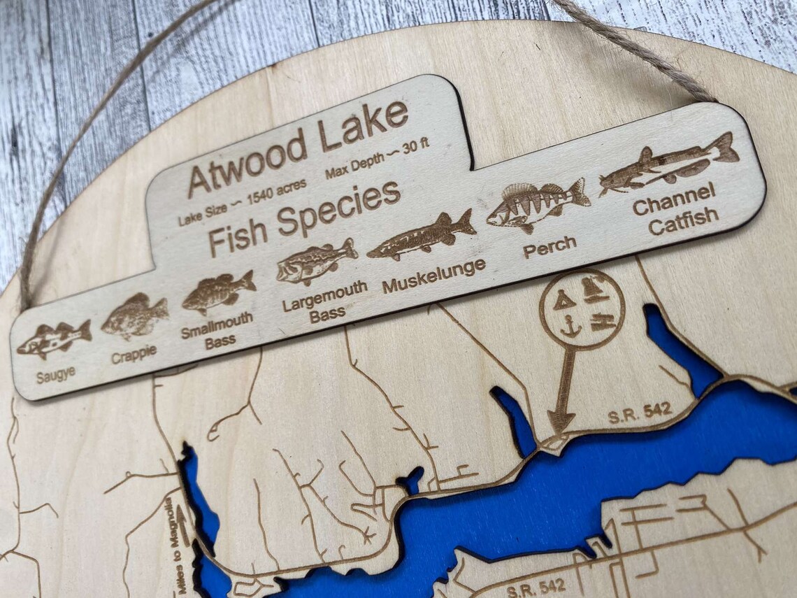 Atwood Lake Map Etsy