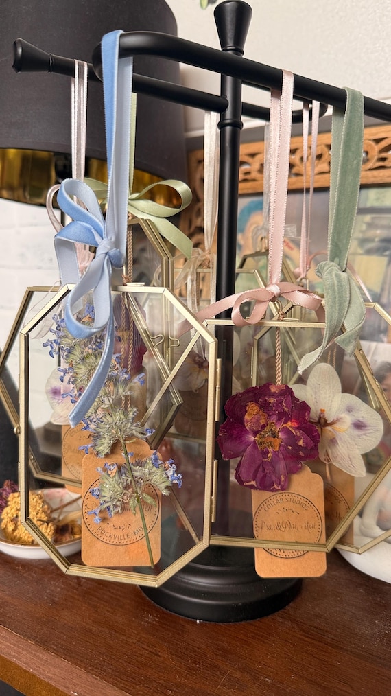 Framed Pressed Flowers & 4Leaf Clovers