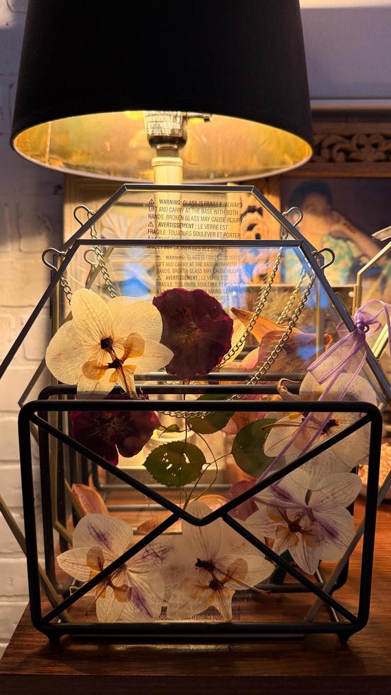 Large Framed Pressed Flowers