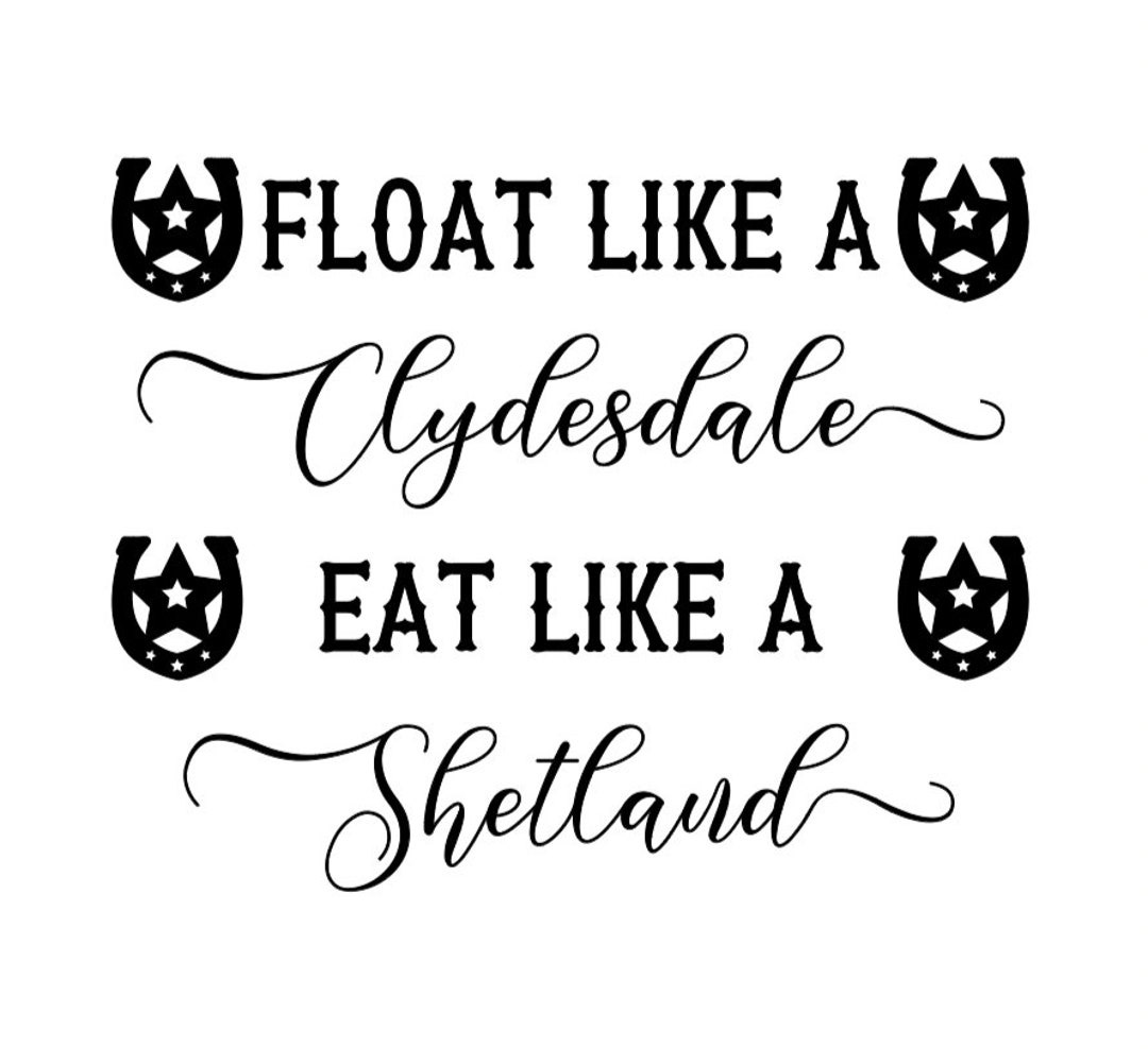 Customisable Vinyl Decal Sticker for Car Horse Float Etsy