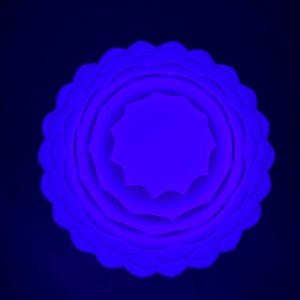 May include: A white paper flower with multiple layers, illuminated with a bright blue light.