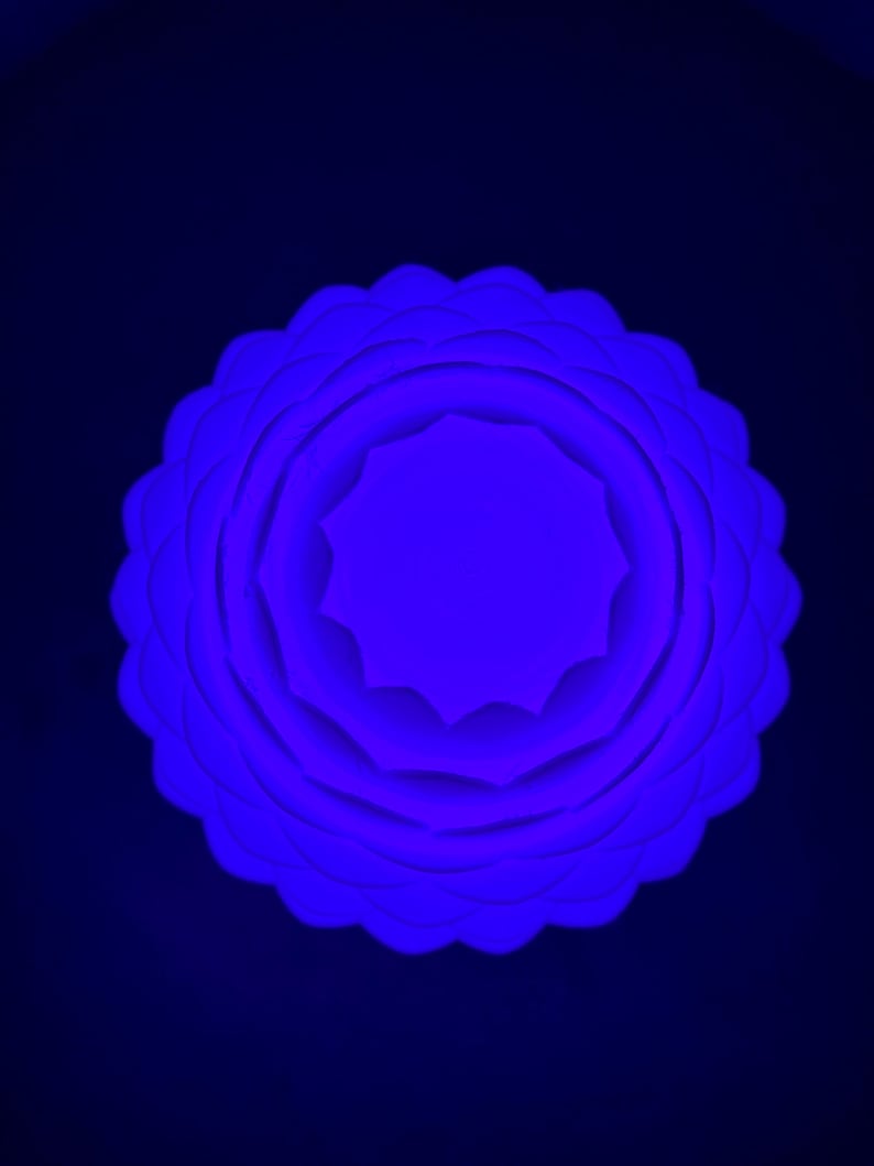 May include: A white paper flower with multiple layers, illuminated with a bright blue light.