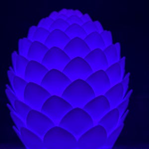May include: A white, ceramic pine cone shaped nightlight with a blue glow.