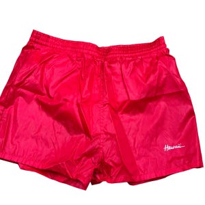 Vintage 70s/80s Hawaii swim trunks. Made in Taiwan. 100% nylon. Elastic waist/drawstring. Mesh lining. Tagged as a medium.