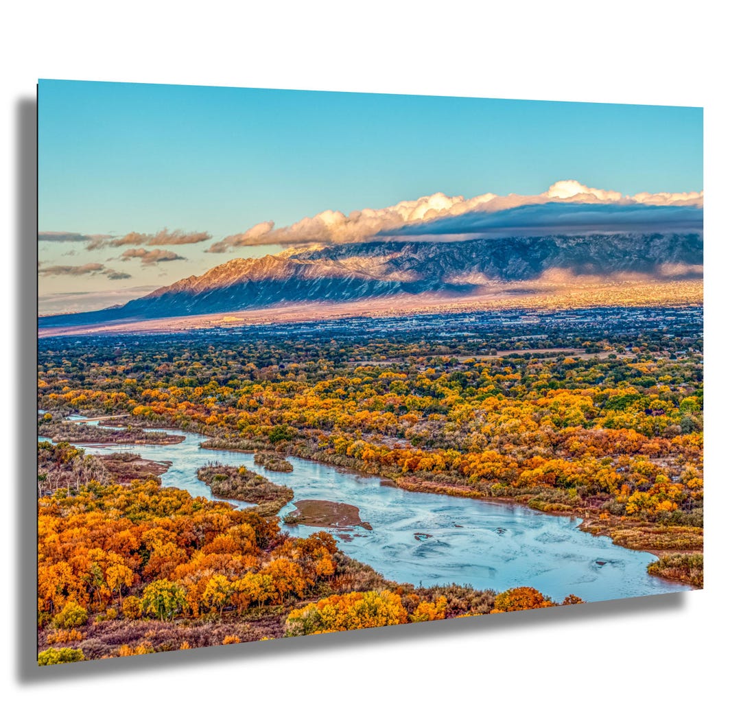 Rio Grande Bosque Fall Trees - Etsy