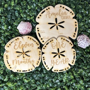 Puede incluir: Tres marcadores de hitos de madera en forma de dólar de arena con texto grabado. Un marcador dice "Amelia Grace" con espacio para la fecha, el peso y la hora. Los otros dos dicen "Once Meses" y "Un Año". También se ven dos conchas marinas.