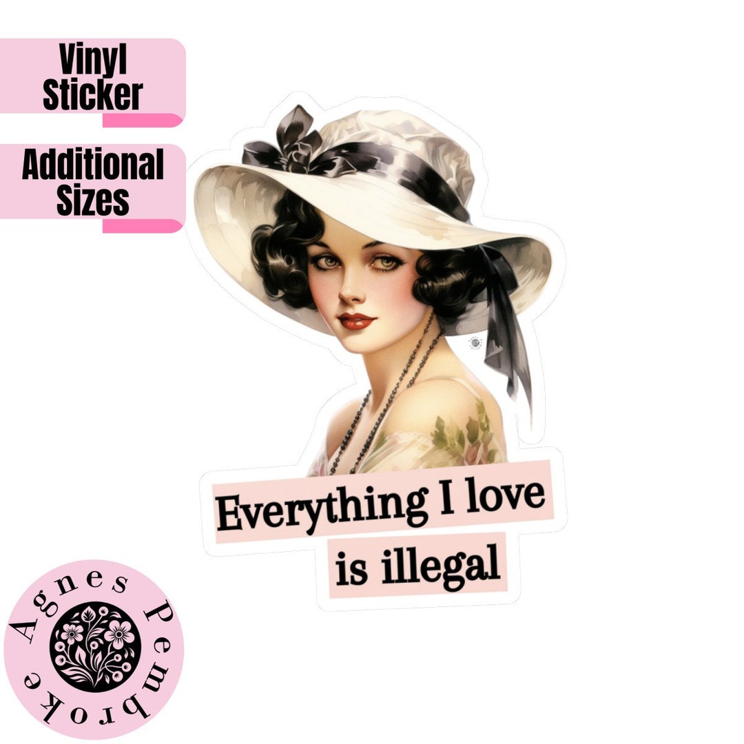 Funny Vinyl Stickers Waterproof Funny Decals Vintage Labels Die Cut