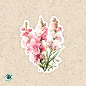 Snapdragon Vinyl Decal Sticker Pink Floral Laptop Decor UV Resistant Tumbler Sticker Custom Name Gift for Women by Agnes Pembroke
