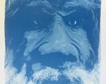 Cyanotypische afdruk: sasquatch