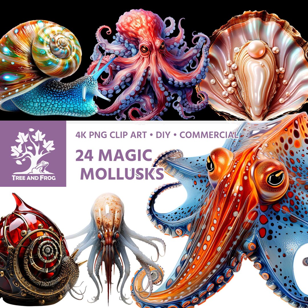 24 PNG Magic Mollusks Clipart Snail Slug Clam Mussel Oyster Scallop