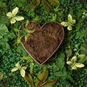 Digital newborn backdrop green garden a fairy tale butterfly