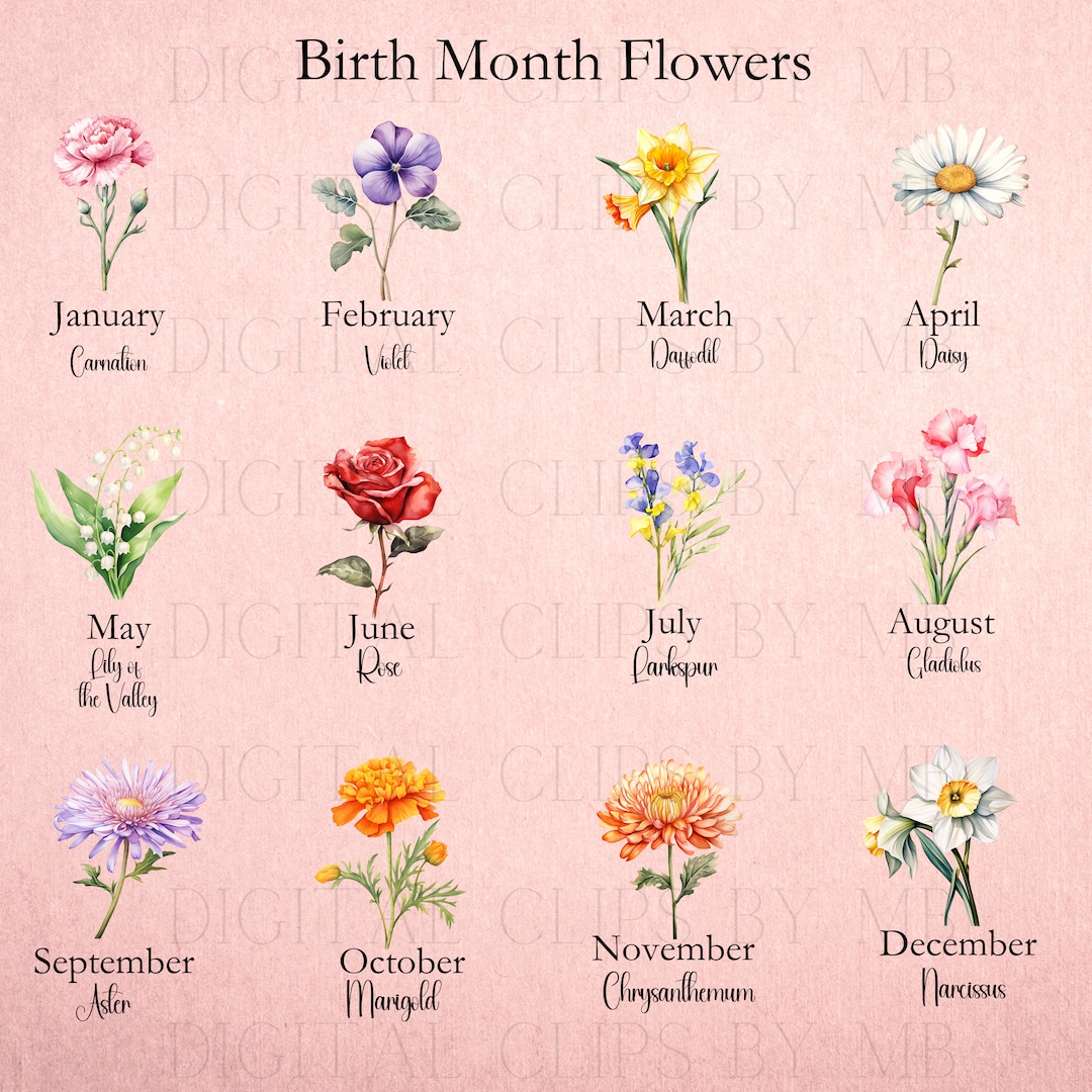 Birth Flowers Clipart, Birth Month Flowers, Designer PNG Bundle, PNG
