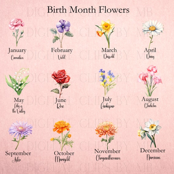  12 Birth Month Flower Stickers Birth Flower Decals